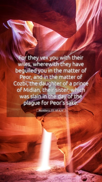 Picture 05 - Numbers 25:18 KJV Mobile Phone Wallpaper - For they vex you with their wiles, wherewith they - Mobile Bible Verse Wallpaper