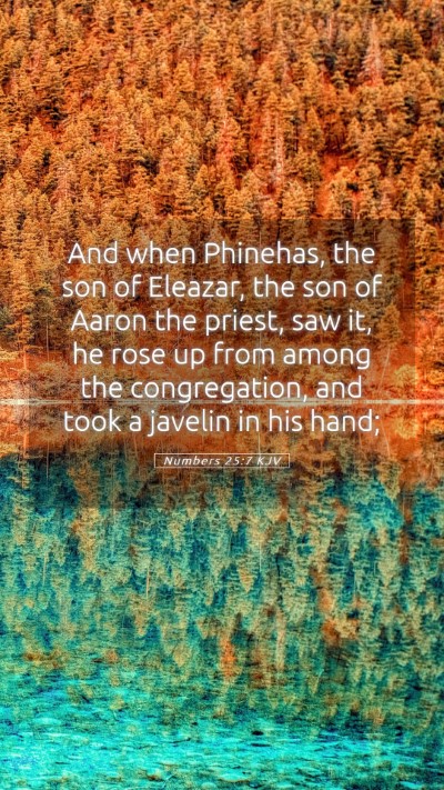 Picture 05 - Numbers 25:7 KJV Mobile Phone Wallpaper - And when Phinehas, the son of Eleazar, the son of - Mobile Bible Verse Wallpaper
