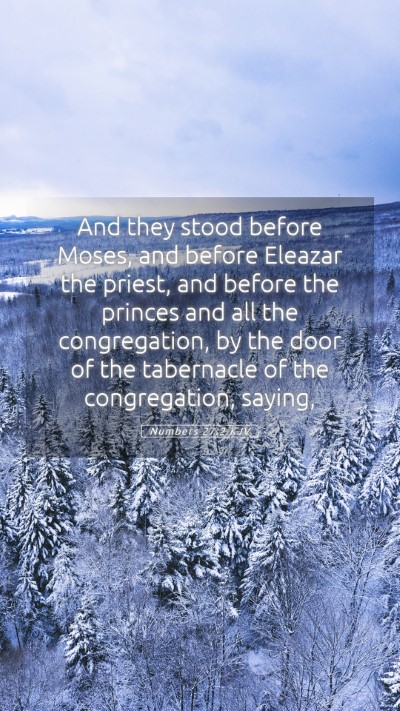 Picture 05 - Numbers 27:2 KJV Mobile Phone Wallpaper - And they stood before Moses, and before Eleazar - Mobile Bible Verse Wallpaper