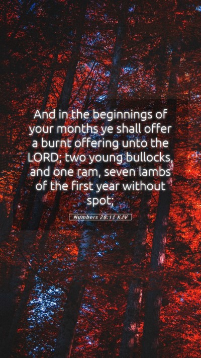 Picture 05 - Numbers 28:11 KJV Mobile Phone Wallpaper - And in the beginnings of your months ye shall - Mobile Bible Verse Wallpaper