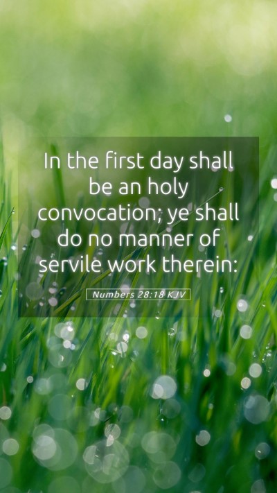 Picture 05 - Numbers 28:18 KJV Mobile Phone Wallpaper - In the first day shall be an holy convocation; ye - Mobile Bible Verse Wallpaper