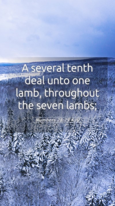 Picture 05 - Numbers 28:29 KJV Mobile Phone Wallpaper - A several tenth deal unto one lamb, throughout - Mobile Bible Verse Wallpaper
