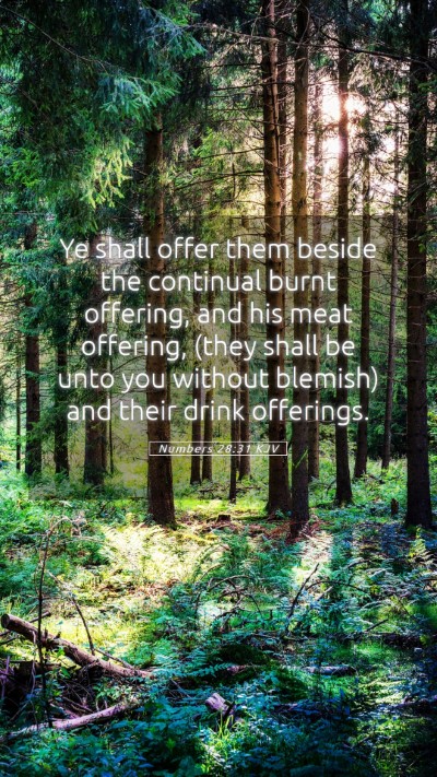 Picture 05 - Numbers 28:31 KJV Mobile Phone Wallpaper - Ye shall offer them beside the continual burnt - Mobile Bible Verse Wallpaper