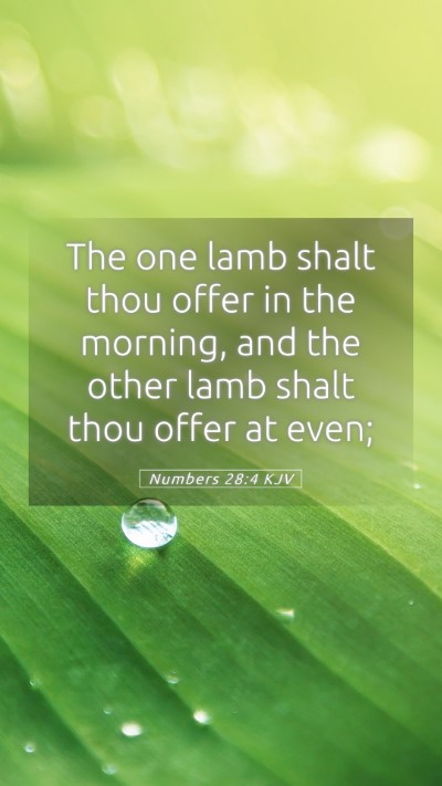 Picture 05 - Numbers 28:4 KJV Mobile Phone Wallpaper - The one lamb shalt thou offer in the morning, and - Mobile Bible Verse Wallpaper