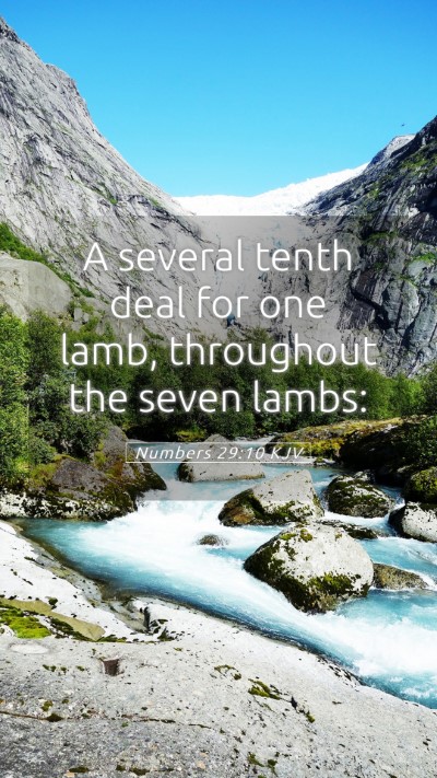 Picture 05 - Numbers 29:10 KJV Mobile Phone Wallpaper - A several tenth deal for one lamb, throughout the - Mobile Bible Verse Wallpaper