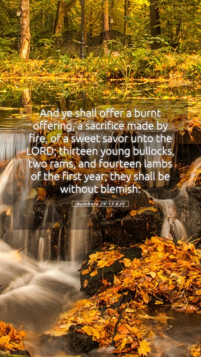 Picture 05 - Numbers 29:13 KJV Mobile Phone Wallpaper - And ye shall offer a burnt offering, a sacrifice - Mobile Bible Verse Wallpaper