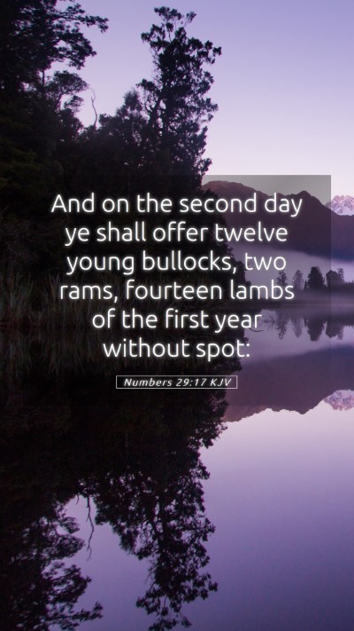 Picture 05 - Numbers 29:17 KJV Mobile Phone Wallpaper - And on the second day ye shall offer twelve young - Mobile Bible Verse Wallpaper
