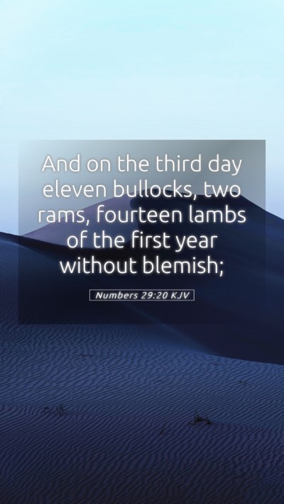 Picture 05 - Numbers 29:20 KJV Mobile Phone Wallpaper - And on the third day eleven bullocks, two rams, - Mobile Bible Verse Wallpaper