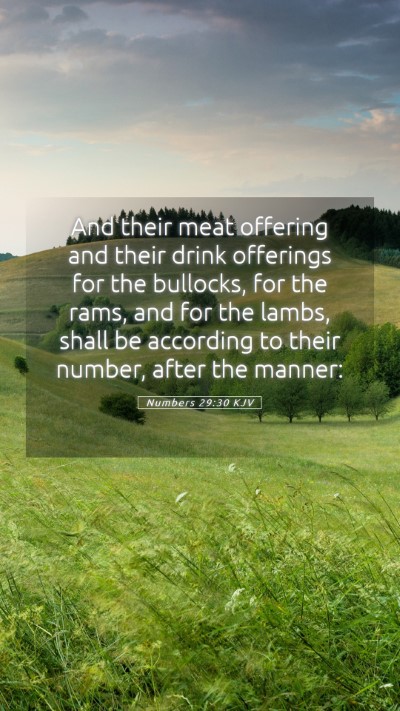 Picture 05 - Numbers 29:30 KJV Mobile Phone Wallpaper - And their meat offering and their drink offerings - Mobile Bible Verse Wallpaper