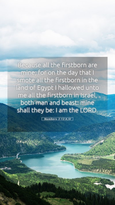 Picture 05 - Numbers 3:13 KJV Mobile Phone Wallpaper - Because all the firstborn are mine; for on the - Mobile Bible Verse Wallpaper