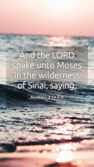 Picture 05 - Numbers 3:14 KJV Mobile Phone Wallpaper - And the LORD spake unto Moses in the wilderness - Mobile Bible Verse Wallpaper