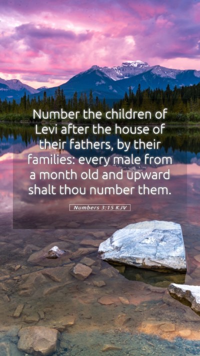 Picture 05 - Numbers 3:15 KJV Mobile Phone Wallpaper - Number the children of Levi after the house of - Mobile Bible Verse Wallpaper