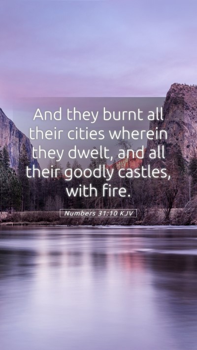 Picture 05 - Numbers 31:10 KJV Mobile Phone Wallpaper - And they burnt all their cities wherein they - Mobile Bible Verse Wallpaper