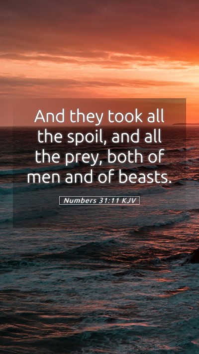 Picture 05 - Numbers 31:11 KJV Mobile Phone Wallpaper - And they took all the spoil, and all the prey, - Mobile Bible Verse Wallpaper