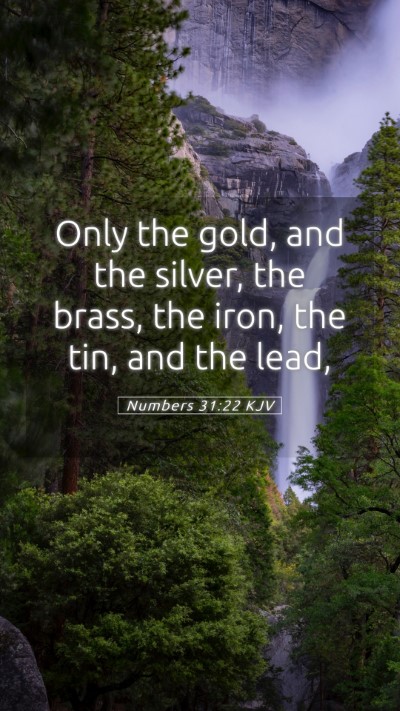 Picture 05 - Numbers 31:22 KJV Mobile Phone Wallpaper - Only the gold, and the silver, the brass, the - Mobile Bible Verse Wallpaper