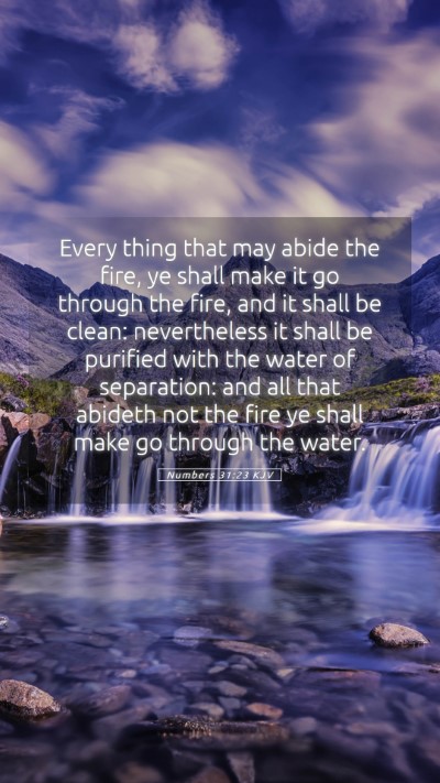 Picture 05 - Numbers 31:23 KJV Mobile Phone Wallpaper - Every thing that may abide the fire, ye shall - Mobile Bible Verse Wallpaper
