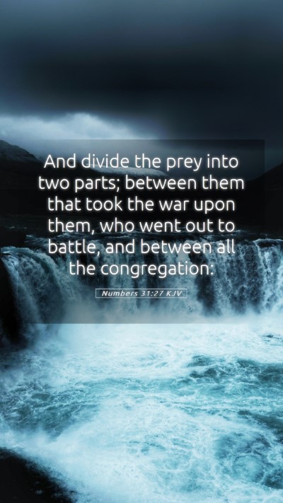 Picture 05 - Numbers 31:27 KJV Mobile Phone Wallpaper - And divide the prey into two parts; between them - Mobile Bible Verse Wallpaper