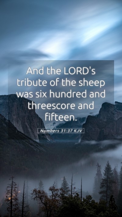 Picture 05 - Numbers 31:37 KJV Mobile Phone Wallpaper - And the LORD's tribute of the sheep was six - Mobile Bible Verse Wallpaper