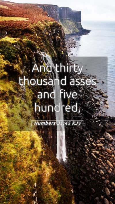 Picture 05 - Numbers 31:45 KJV Mobile Phone Wallpaper - And thirty thousand asses and five - Mobile Bible Verse Wallpaper