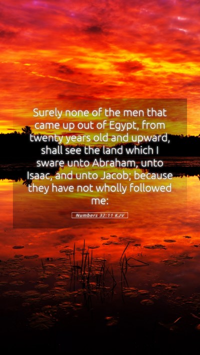 Picture 05 - Numbers 32:11 KJV Mobile Phone Wallpaper - Surely none of the men that came up out of Egypt, - Mobile Bible Verse Wallpaper