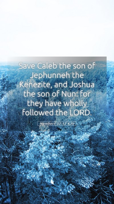 Picture 05 - Numbers 32:12 KJV Mobile Phone Wallpaper - Save Caleb the son of Jephunneh the Kenezite, and - Mobile Bible Verse Wallpaper