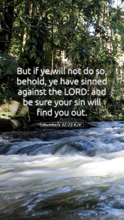 Picture 05 - Numbers 32:23 KJV Mobile Phone Wallpaper - But if ye will not do so, behold, ye have sinned - Mobile Bible Verse Wallpaper