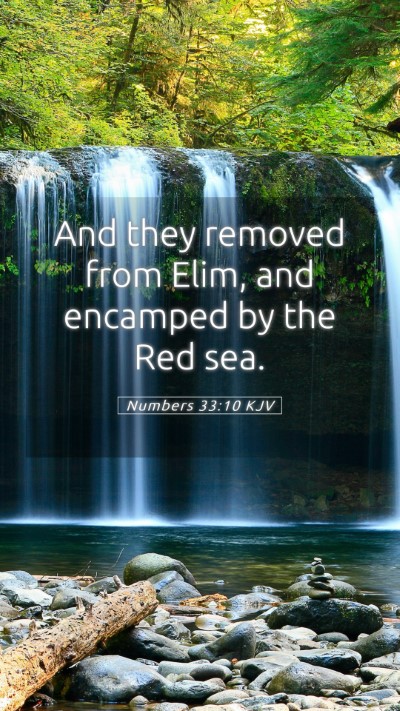 Picture 05 - Numbers 33:10 KJV Mobile Phone Wallpaper - And they removed from Elim, and encamped by the - Mobile Bible Verse Wallpaper
