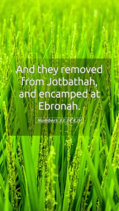 Picture 05 - Numbers 33:34 KJV Mobile Phone Wallpaper - And they removed from Jotbathah, and encamped at - Mobile Bible Verse Wallpaper