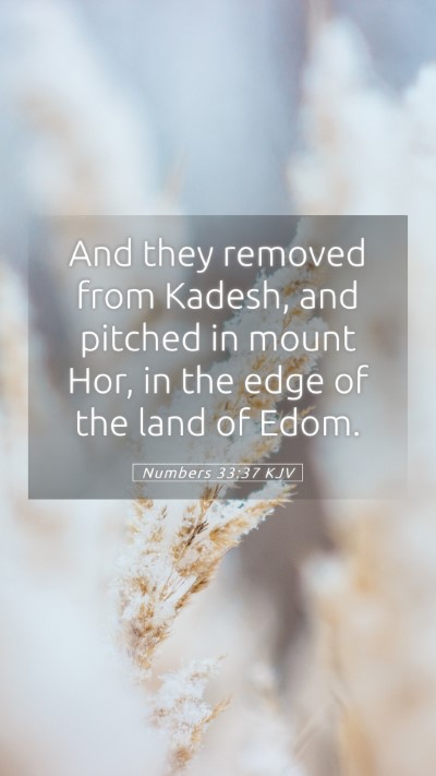 Picture 05 - Numbers 33:37 KJV Mobile Phone Wallpaper - And they removed from Kadesh, and pitched in - Mobile Bible Verse Wallpaper