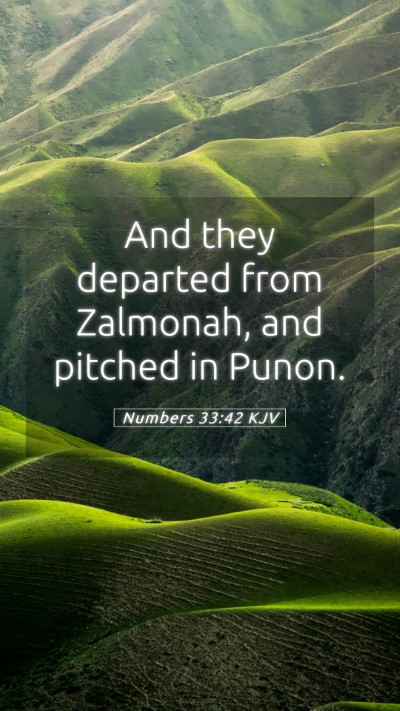 Picture 05 - Numbers 33:42 KJV Mobile Phone Wallpaper - And they departed from Zalmonah, and pitched in - Mobile Bible Verse Wallpaper