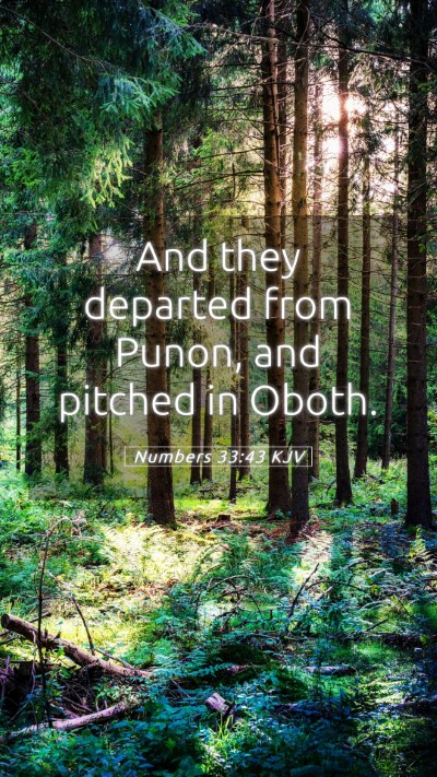 Picture 05 - Numbers 33:43 KJV Mobile Phone Wallpaper - And they departed from Punon, and pitched in - Mobile Bible Verse Wallpaper