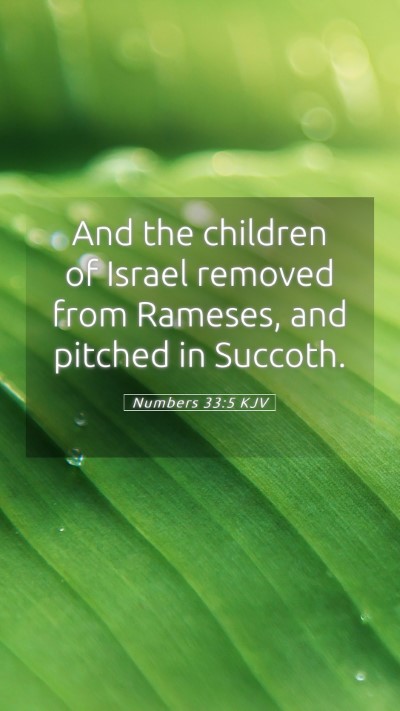 Picture 05 - Numbers 33:5 KJV Mobile Phone Wallpaper - And the children of Israel removed from Rameses, - Mobile Bible Verse Wallpaper