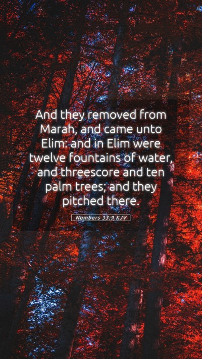 Picture 05 - Numbers 33:9 KJV Mobile Phone Wallpaper - And they removed from Marah, and came unto Elim: - Mobile Bible Verse Wallpaper