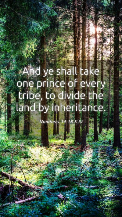 Picture 05 - Numbers 34:18 KJV Mobile Phone Wallpaper - And ye shall take one prince of every tribe, to - Mobile Bible Verse Wallpaper