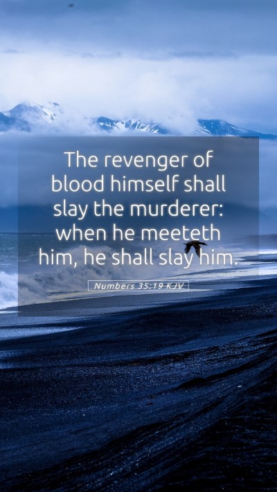 Picture 05 - Numbers 35:19 KJV Mobile Phone Wallpaper - The revenger of blood himself shall slay the - Mobile Bible Verse Wallpaper