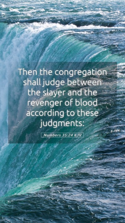 Picture 05 - Numbers 35:24 KJV Mobile Phone Wallpaper - Then the congregation shall judge between the - Mobile Bible Verse Wallpaper