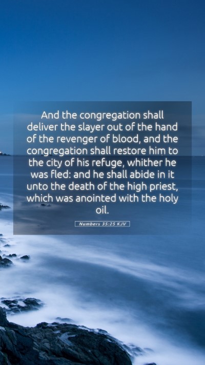 Picture 05 - Numbers 35:25 KJV Mobile Phone Wallpaper - And the congregation shall deliver the slayer out - Mobile Bible Verse Wallpaper