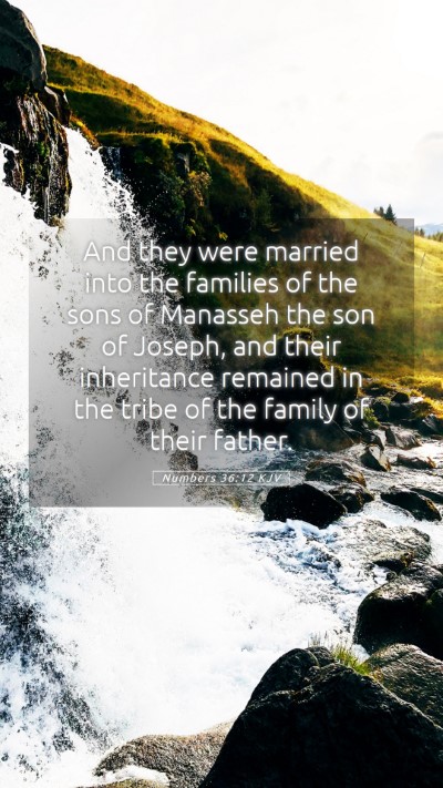 Picture 05 - Numbers 36:12 KJV Mobile Phone Wallpaper - And they were married into the families of the - Mobile Bible Verse Wallpaper