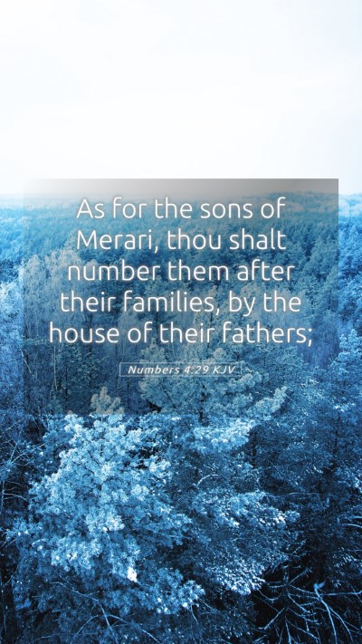 Picture 05 - Numbers 4:29 KJV Mobile Phone Wallpaper - As for the sons of Merari, thou shalt number them - Mobile Bible Verse Wallpaper