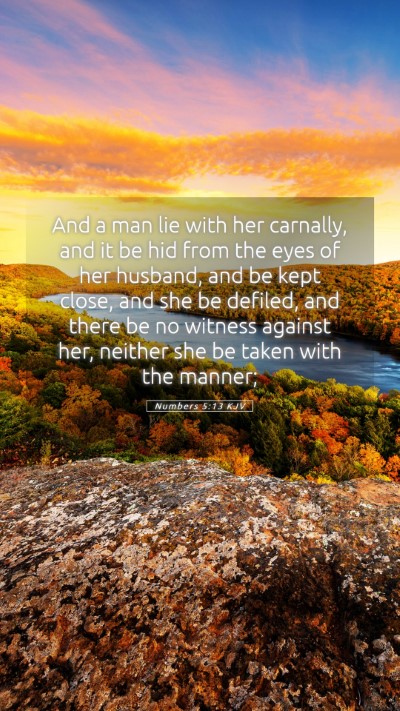 Picture 05 - Numbers 5:13 KJV Mobile Phone Wallpaper - And a man lie with her carnally, and it be hid - Mobile Bible Verse Wallpaper