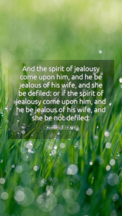 Picture 05 - Numbers 5:14 KJV Mobile Phone Wallpaper - And the spirit of jealousy come upon him, and he - Mobile Bible Verse Wallpaper