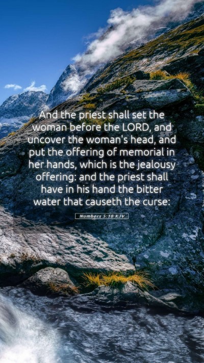 Picture 05 - Numbers 5:18 KJV Mobile Phone Wallpaper - And the priest shall set the woman before the - Mobile Bible Verse Wallpaper