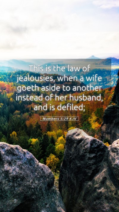 Picture 05 - Numbers 5:29 KJV Mobile Phone Wallpaper - This is the law of jealousies, when a wife goeth - Mobile Bible Verse Wallpaper