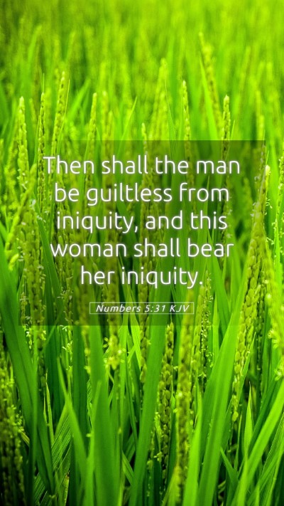 Picture 05 - Numbers 5:31 KJV Mobile Phone Wallpaper - Then shall the man be guiltless from iniquity, - Mobile Bible Verse Wallpaper