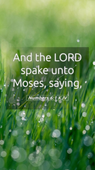 Picture 05 - Numbers 6:1 KJV Mobile Phone Wallpaper - And the LORD spake unto Moses, - Mobile Bible Verse Wallpaper