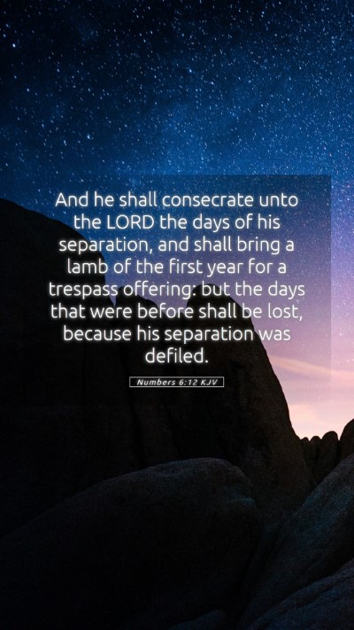 Picture 05 - Numbers 6:12 KJV Mobile Phone Wallpaper - And he shall consecrate unto the LORD the days of - Mobile Bible Verse Wallpaper