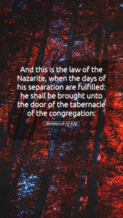 Picture 05 - Numbers 6:13 KJV Mobile Phone Wallpaper - And this is the law of the Nazarite, when the - Mobile Bible Verse Wallpaper