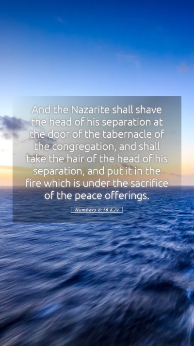 Picture 05 - Numbers 6:18 KJV Mobile Phone Wallpaper - And the Nazarite shall shave the head of his - Mobile Bible Verse Wallpaper