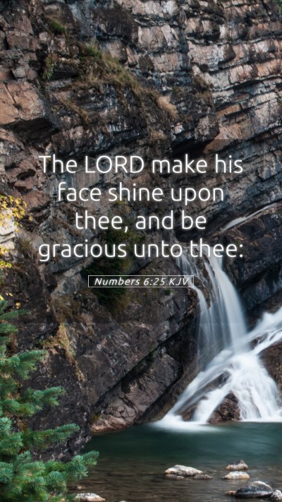 Picture 05 - Numbers 6:25 KJV Mobile Phone Wallpaper - The LORD make his face shine upon thee, and be - Mobile Bible Verse Wallpaper