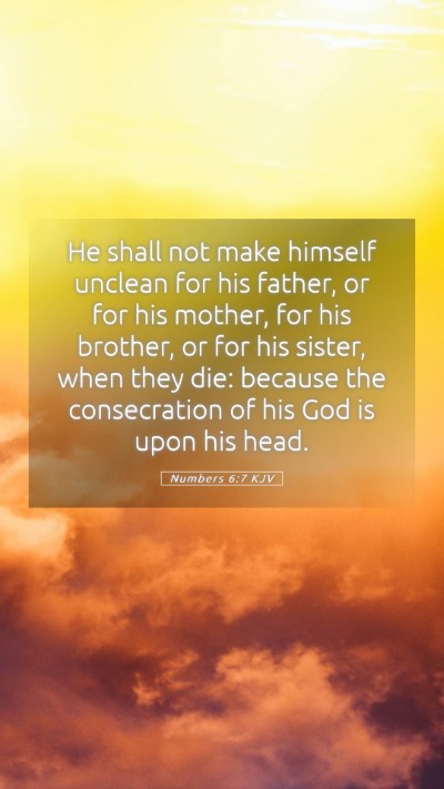 Picture 05 - Numbers 6:7 KJV Mobile Phone Wallpaper - He shall not make himself unclean for his father, - Mobile Bible Verse Wallpaper